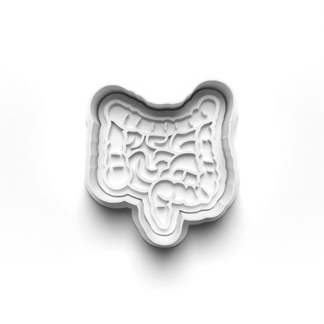 Body Organs Cookie Cutter Embosser Set of 4 Cutters & Stamps Biscuit Mould Debossed Sugar Biscuits