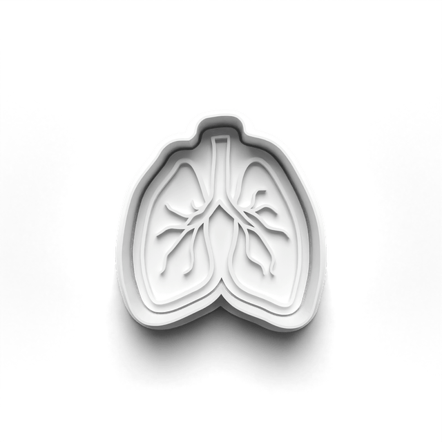 Body Organs Cookie Cutter Embosser Set of 4 Cutters & Stamps Biscuit Mould Debossed Sugar Biscuits