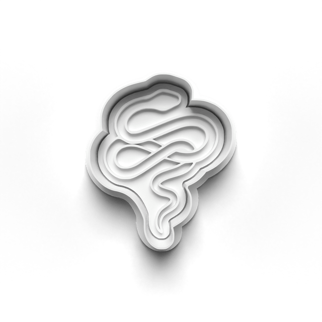 A Snake Cookie Cutter Embosser Set of 4 Cutters & Stamps Biscuit Mould Debossed Sugar Biscuits