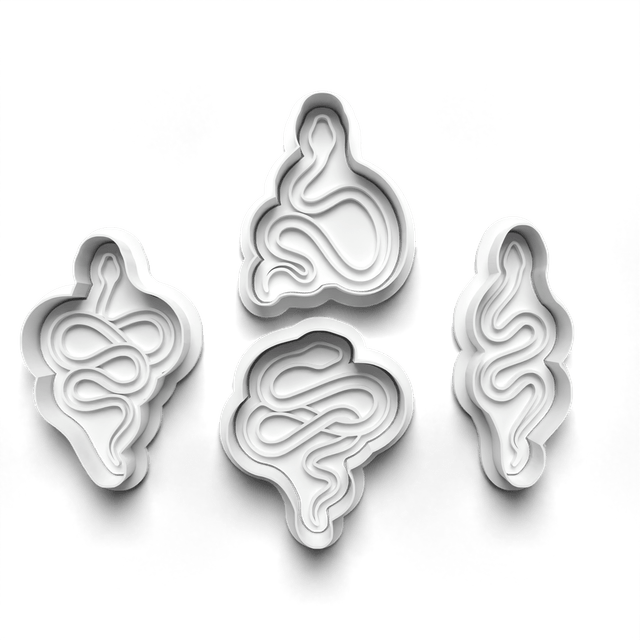 A Snake Cookie Cutter Embosser Set of 4 Cutters & Stamps Biscuit Mould Debossed Sugar Biscuits