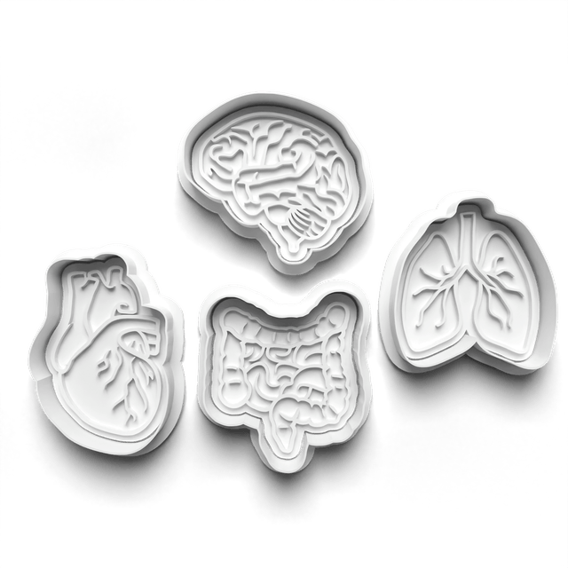 Body Organs Cookie Cutter Embosser Set of 4 Cutters & Stamps Biscuit Mould Debossed Sugar Biscuits