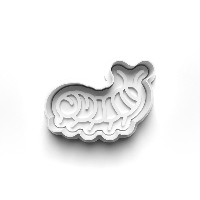 Butterfly Life Cycle Cookie Cutter Embosser Set of 4 Cutters & Stamps Biscuit Mould Debossed Sugar Biscuits