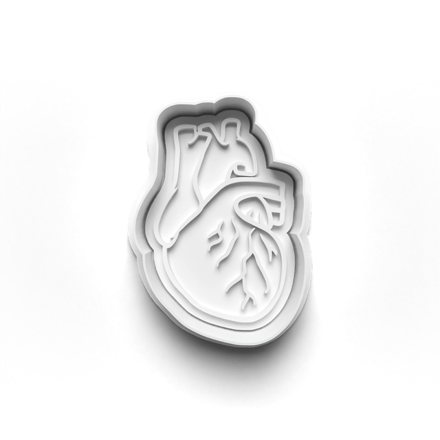 Body Organs Cookie Cutter Embosser Set of 4 Cutters & Stamps Biscuit Mould Debossed Sugar Biscuits