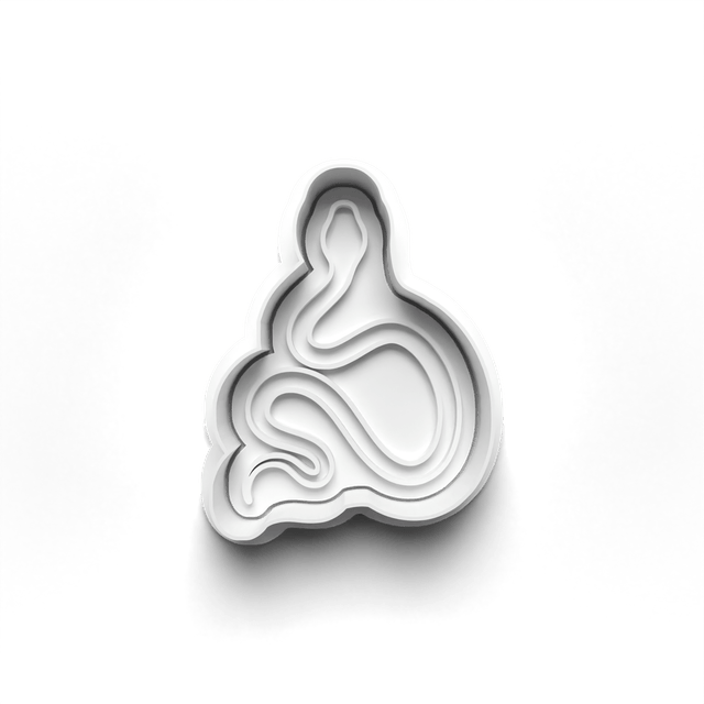 A Snake Cookie Cutter Embosser Set of 4 Cutters & Stamps Biscuit Mould Debossed Sugar Biscuits