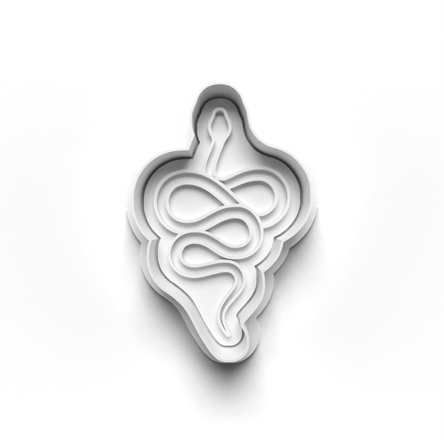 A Snake Cookie Cutter Embosser Set of 4 Cutters & Stamps Biscuit Mould Debossed Sugar Biscuits