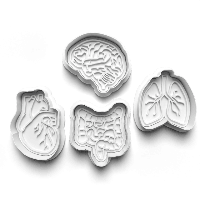 Body Organs Cookie Cutter Embosser Set of 4 Cutters &amp; Stamps Biscuit Mould Debossed Sugar Biscuits